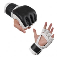 Fighting Gloves